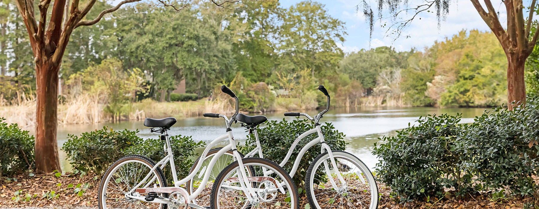 bikes by a pond