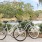 Bicycles for rent in a park