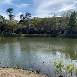 What a beautiful Thursday! 
How did y’all spend yours? 
We love our view here at Riviera! Contact our leasing office today to schedule your tour and call Riviera your home!😌☀️
843-278-8900
#naturetrails 
#pondview
#seasidefarmsmtpleasant 
#iopliving
#seasideisthebestside Instagram post from @rivieraatseaside on May 04, 2023 17:02:20pm