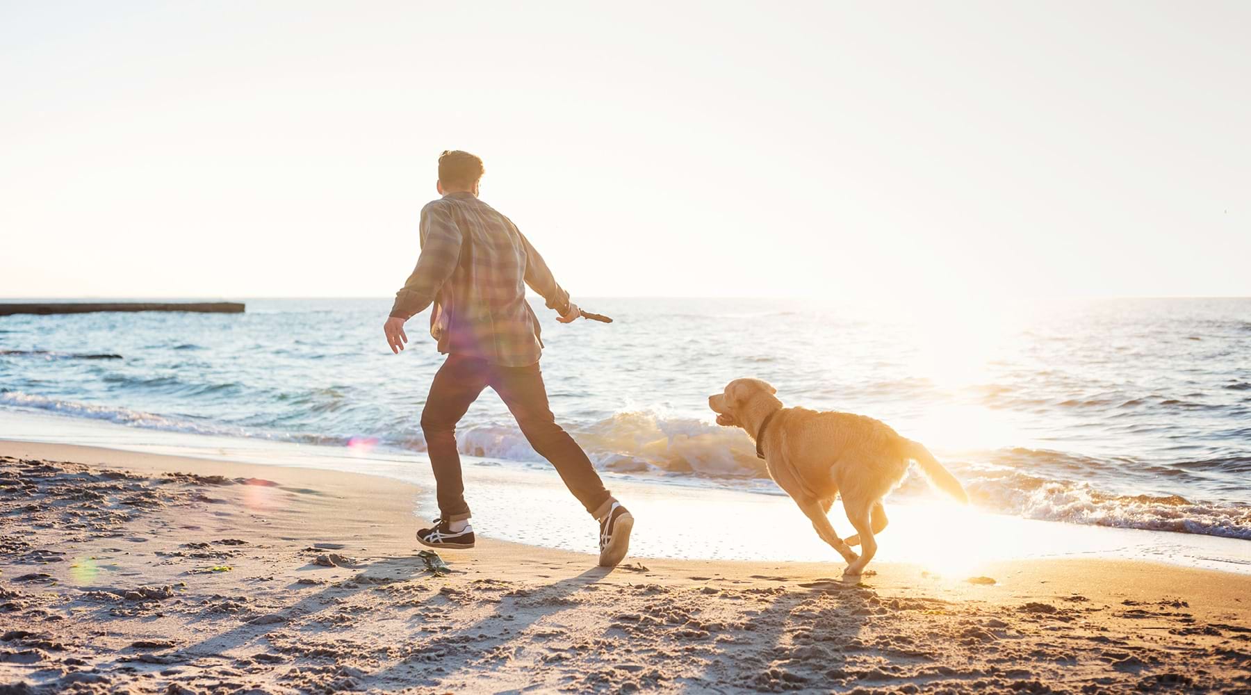 Live Beautifully man running with dog on beach